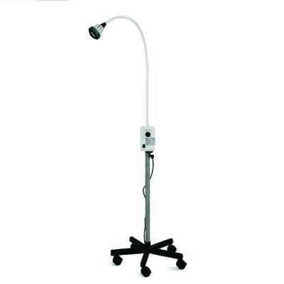 Medical Examination Light