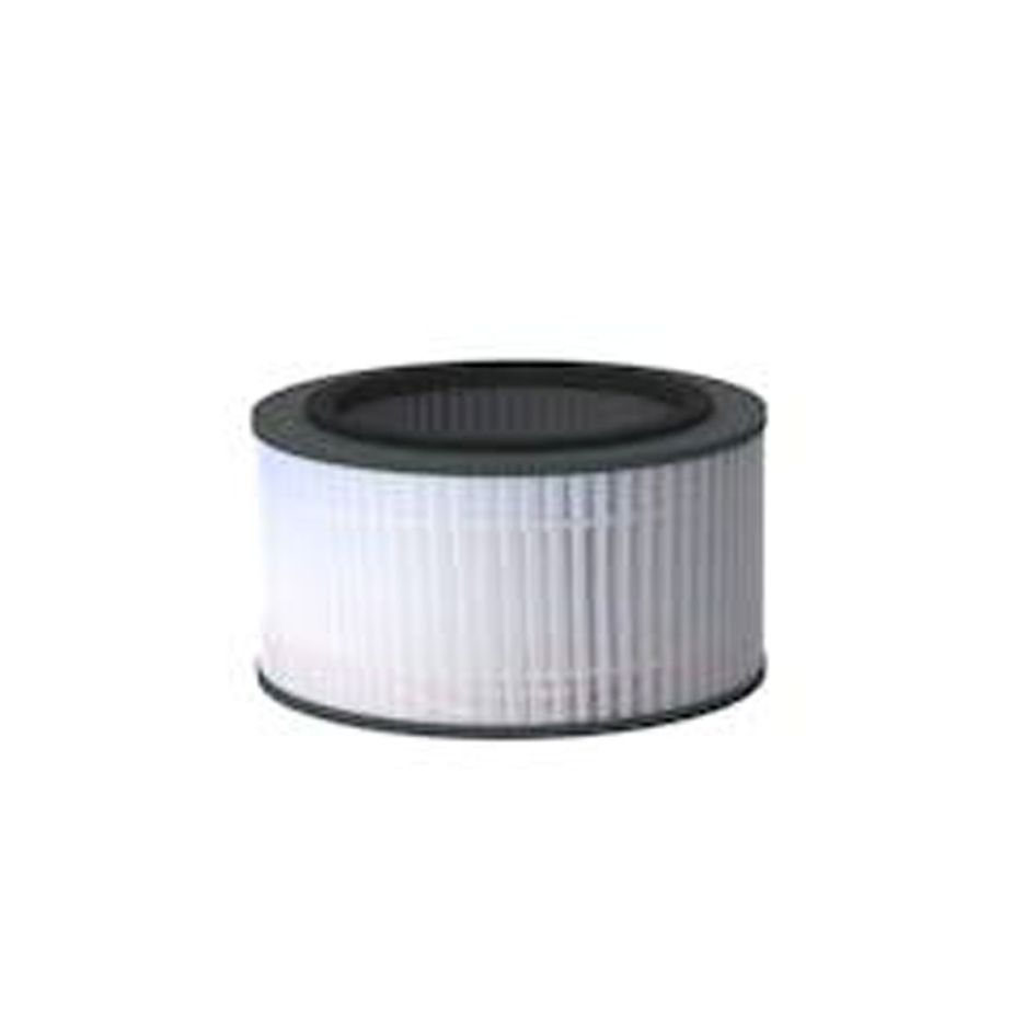 Dry Vacuum System Filter