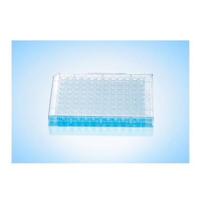 96 Wells Plate (U-shaped Bottom)