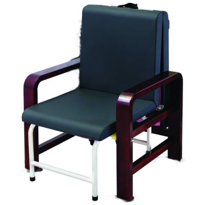 Luxury Attendant Chair