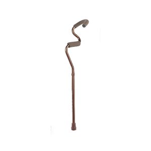 Dual Handle Cane